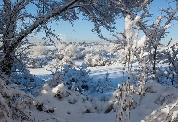 Polska będzie bowiem znajdować się pod wpływem rosyjskiego i skandynawskiego wyżu, który przyniesie bardzo duże spadki temperatur nawet do minus 30 stopni na nizinach. Na pocieszenie dodają, że ma być to zima słoneczna i sucha.