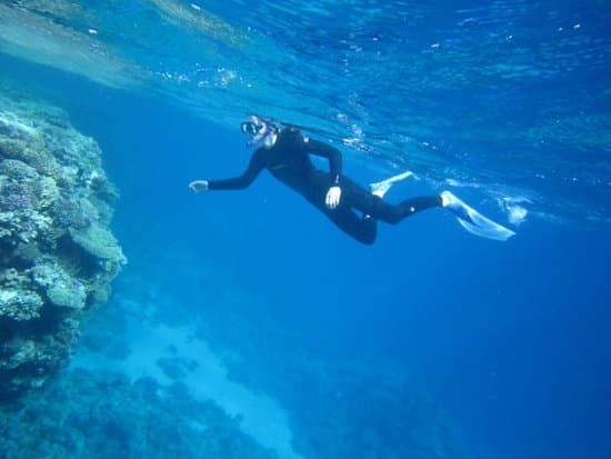 Zuzanna Witek, licealistka z Bydgoszczy, jest jedną z założycielek projektu Thriving Corals. Pasjonuje ją biologia morza.