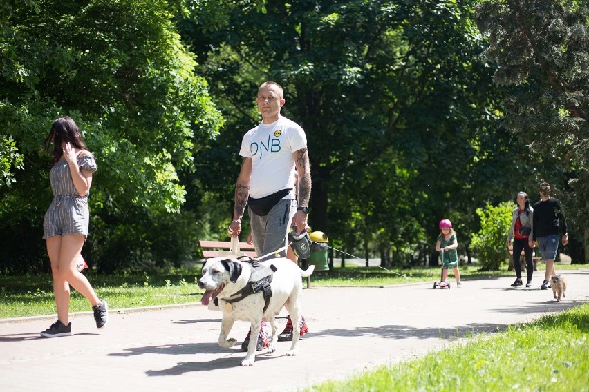 Spotkanie Słupskich Adopciaków [zdjęcia, wideo]