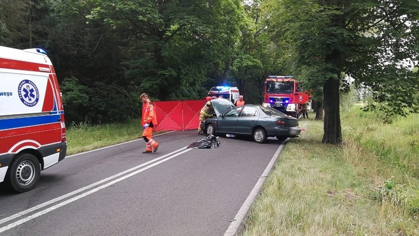 Tragiczny wypadek pod Stepnicą. Nie żyje jedna osoba [ZDJĘCIA]