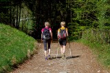 W sobotę V Opolski Marsz Nordic Walking w Suchym Borze. Są ostatnie wolne miejsca