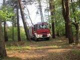 Pożar łąki na torfowisku w Ustce. Szybka interwencja strażaków