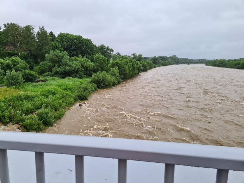 Nowy Sącz.  Wzburzony Dunajec przybiera na sile. Kamienica przekroczyła stan ostrzegawczy [ZDJĘCIA]