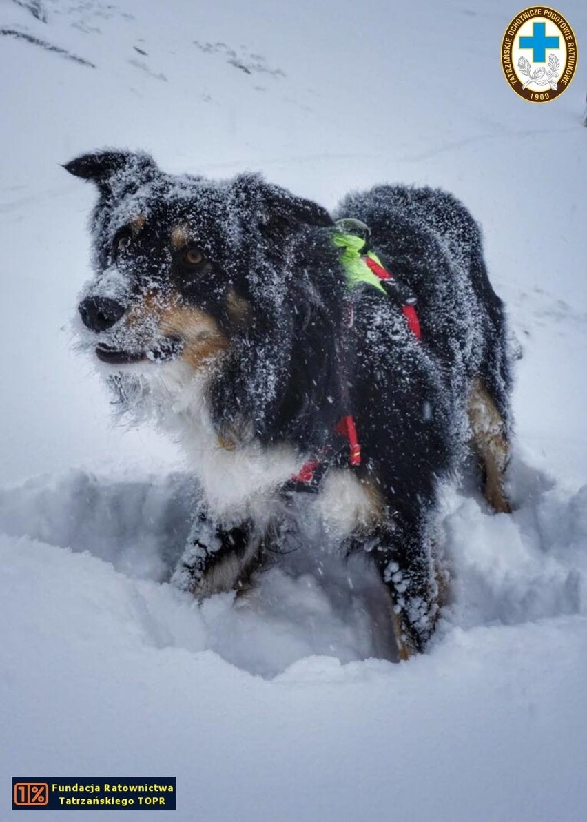 Tatry. Zobacz, jak wyglądały poszukiwania zaginionego turysty [ZDJĘCIA]