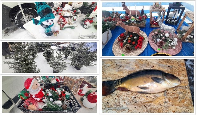 Niedziela, 11 grudnia na targu w Wierzbicy. Jest mnóstwo świątecznych dekoracji! Są choinki, bombki, ozdoby do ogrodu i karpie po 30 złotych za kilogram. Zobaczcie na kolejnych slajdach.