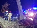 Auto uderzyło w drzewo w Szczeglinie. Cztery zastępy straży pożarnej w akcji [ZDJĘCIA]