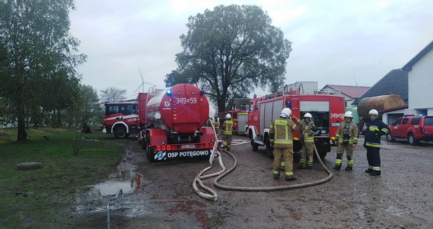 Akcja strażaków w Wieliszewie w gminie Potęgowo