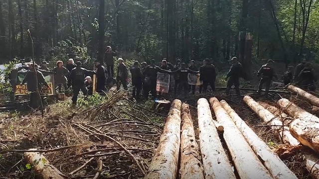 Straż leśna została zmuszona do interwencji - mówi Jarosław Krawczyk, rzecznik prasowy Regionalnej Dyrekcji Lasów Państwowych w Białymstoku