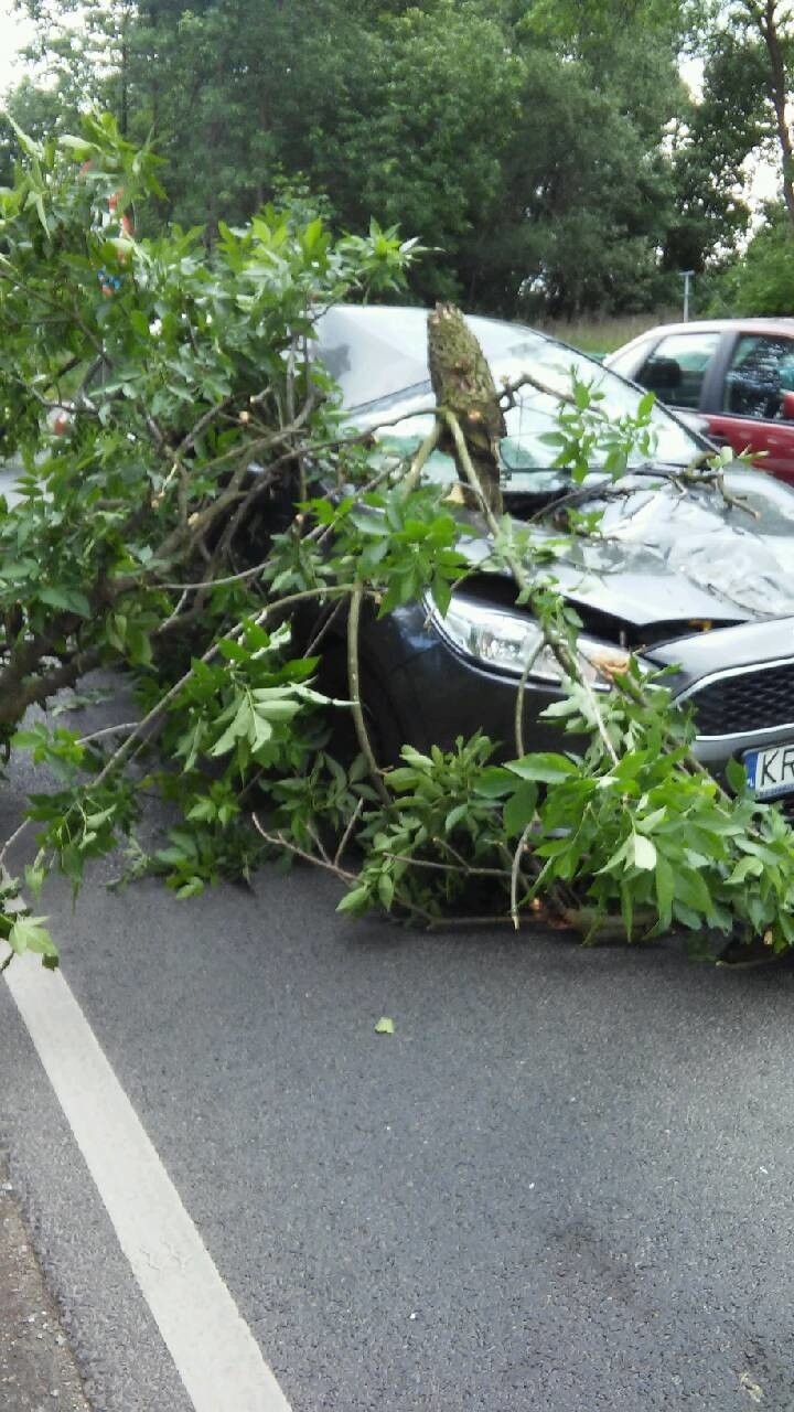 Drzewo spadło na samochód