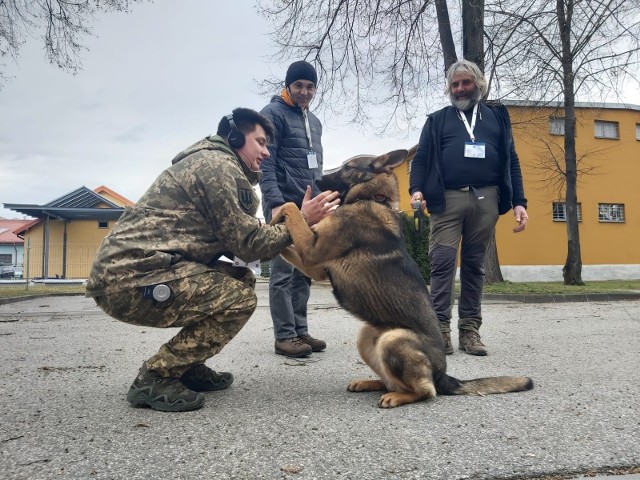 Psy z Belgi trafiły do KaOSG na dwutygodniowe szkolenie