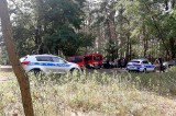 Tragiczny finał poszukiwań 17-letniej Jagody z Drzeniowa. W lesie znaleziono ciało zaginionej nastolatki