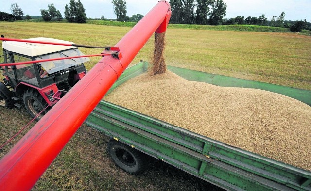 Według obowiązujących przepisów rolnik, który kupuje zboże od innego rolnika, musi podpisać z nim umowę