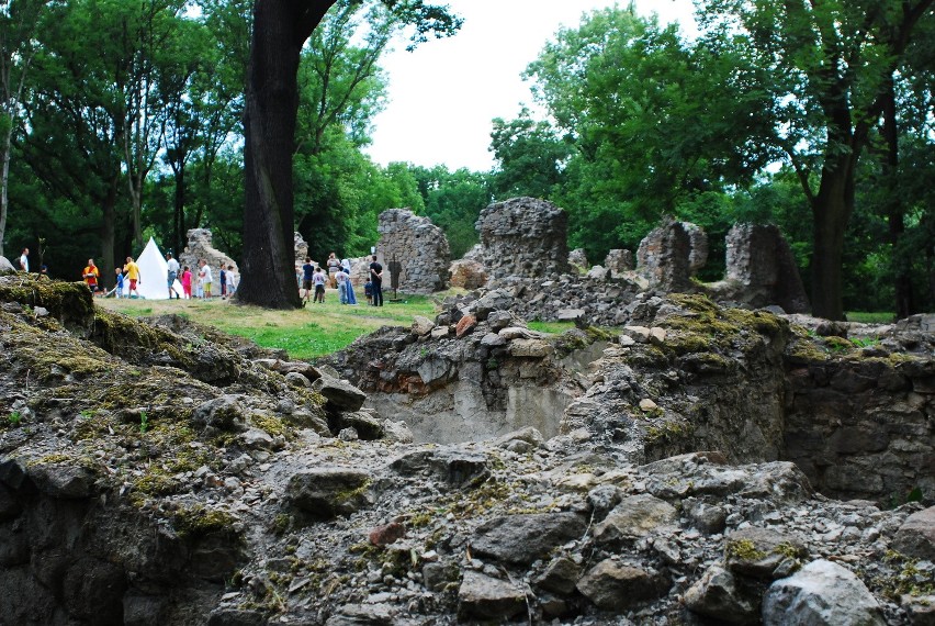 Spotkania z historią na zamku w Rudzie Śląskiej [ZDJĘCIA]