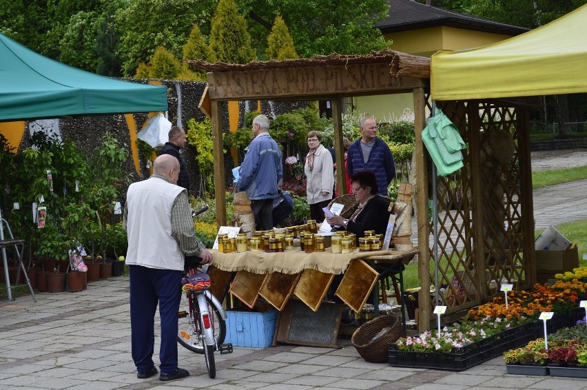 Wystawa Kwiatów i Ogrodów w Parku Śląskim