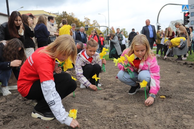 W Kielcach zainaugurowano 13. edycję wspaniałej kampanii Pola Nadziei. W pasie zieleni przy ulicy Warszawskiej zasadzono  cebulki żonkili.