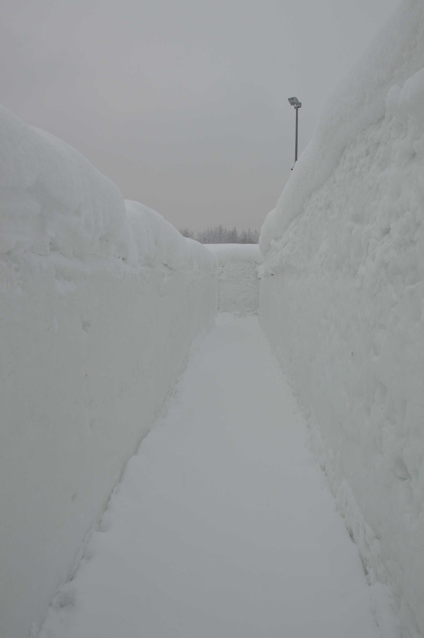 Zakopane. Zrobili gigantyczny śnieżny labirynt i śnieżny zamek [ZDJĘCIA, WIDEO]