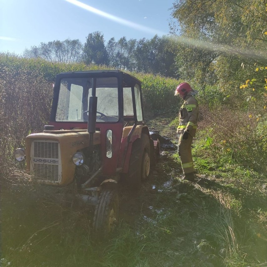 Śmierć na polu w miejscowości Wielgus. Obok traktor z glebogryzarką. Co się wydarzyło?