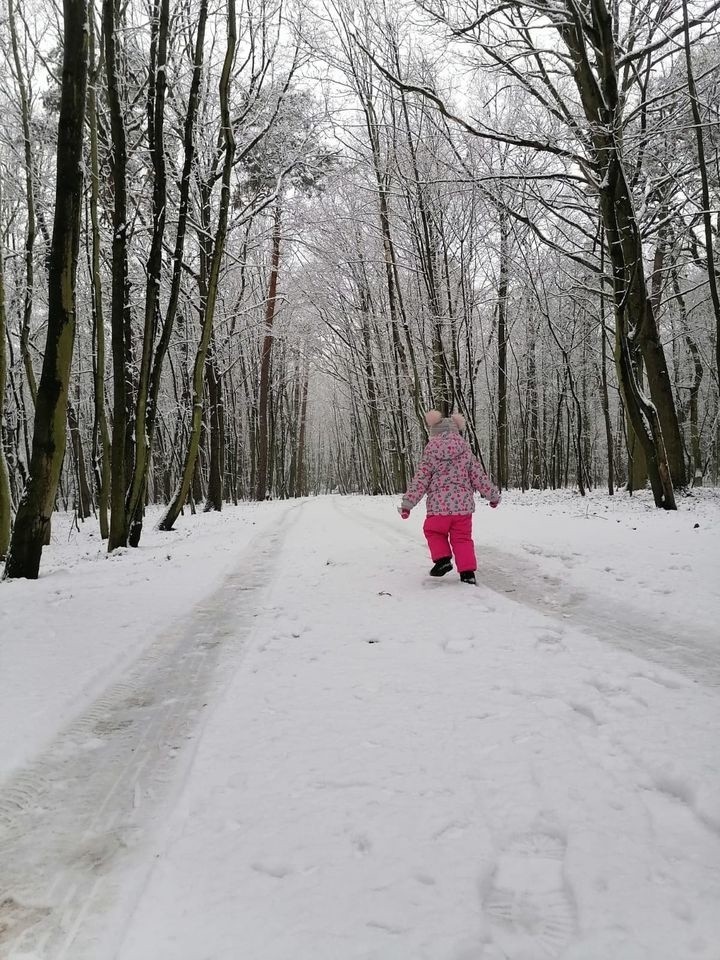 W poniedziałek w Toruniu wreszcie spadł śnieg. Biały puch...