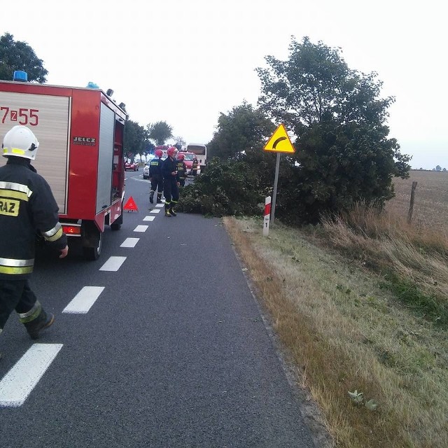 Do bardzo groźnego zdarzenia doszło tuż po godzinie 6:00 rano między Warszkowem, a Noskowem(gmina Sławno). Autobus wiozący dzieci z Małopolski zjechał ze swojego pasa i wylądował w rowie. Do wypadku doszło na krajowej drodze nr 6. Jeśli chcesz znać więcej szczegółów, przesuń zdjęcie gestem lub kliknij strzałkę w prawo.Zobacz także: Koszalin: Wypadek w Mostowie 