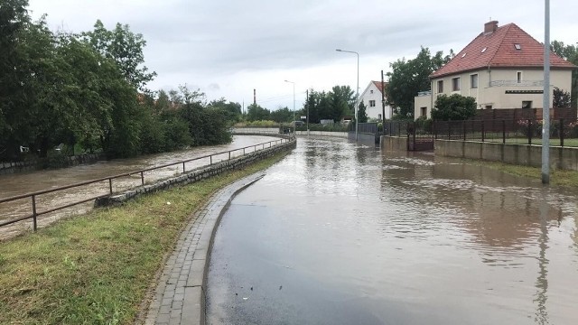 W sobotę (15 kwietnia) na terenie powiatu kłodzkiego zostało ogłoszone pogotowie przeciwpowodziowe. Starosta podjął taką decyzje, przez przekroczone stany alarmowe. Teraz nie pada, ale zapowiedziane są opady deszczu wieczorem i na najbliższe dni.