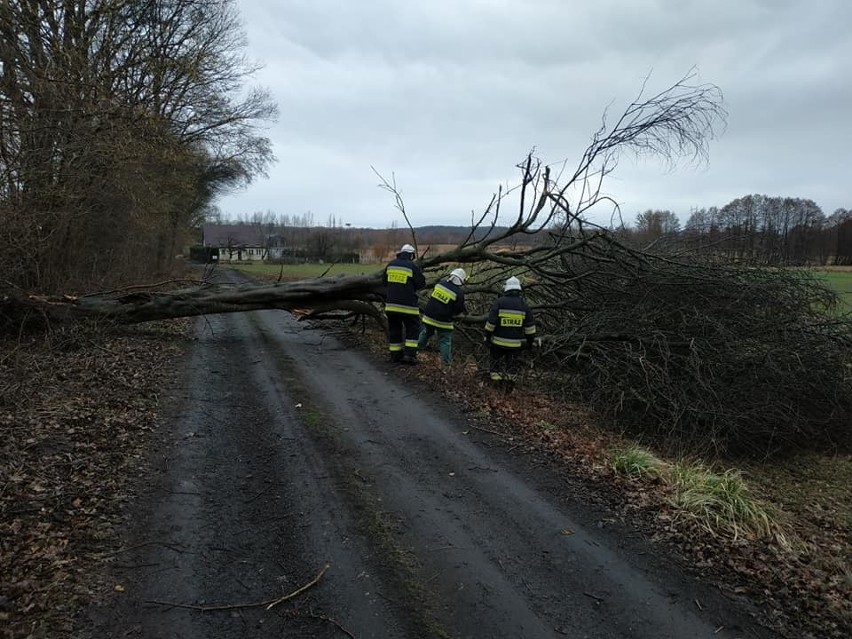 Niż Bennet w Polsce. Silny wiatr w województwie...