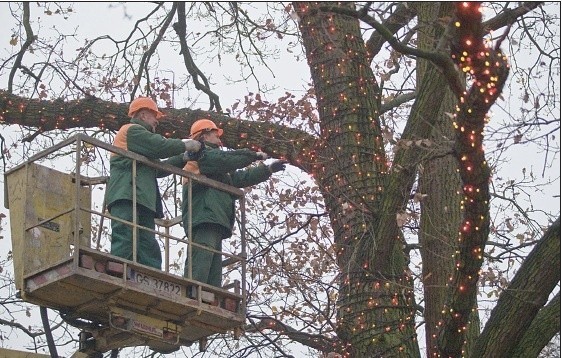 W Słupsku rozpoczęto przygotowania do świąt.