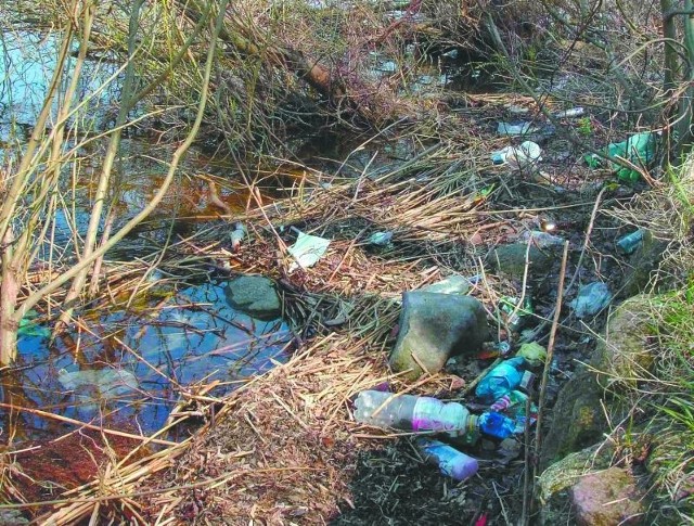 Prawie wzdłuż całego brzegu Jeziora Ełckiego naprzeciw zamku porozrzucane są śmieci, głównie puste butelki.