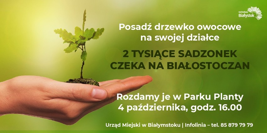 W piątek na Plantach magistrat rozda dwa tysiące drzewek