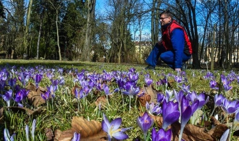 Pogoda na kwiecień 2020: Wiosna przyniesie letnie...