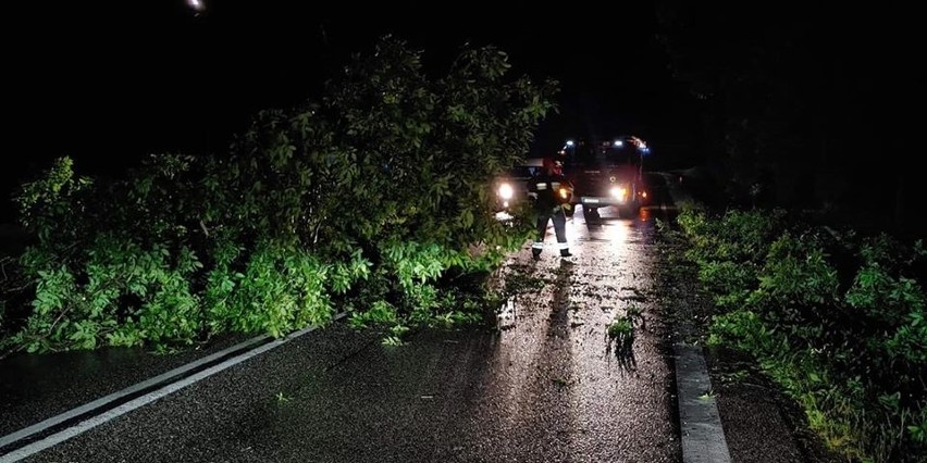 Maków Maz. Skutki nocnej burzy na drogach powiatu makowskiego