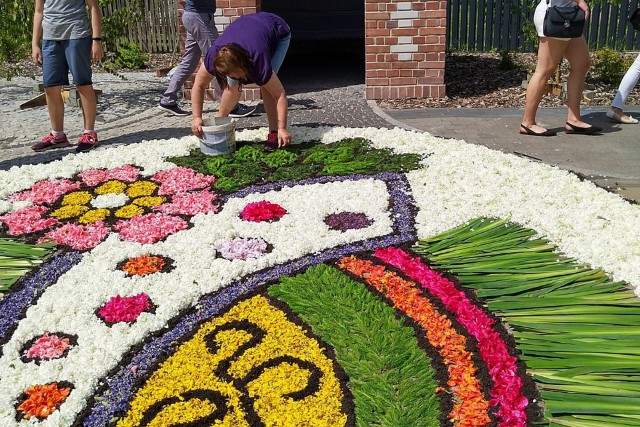 Tradycja układania dywanów kwiatowych na procesję Bożego Ciała w Spycimierzu została wciągnięta na międzynarodową Listę Niematerialnego Dziedzictwa Kulturowego Ludzkości UNESCO.Zdjęcie na licencji CC BY-SA 4.0.