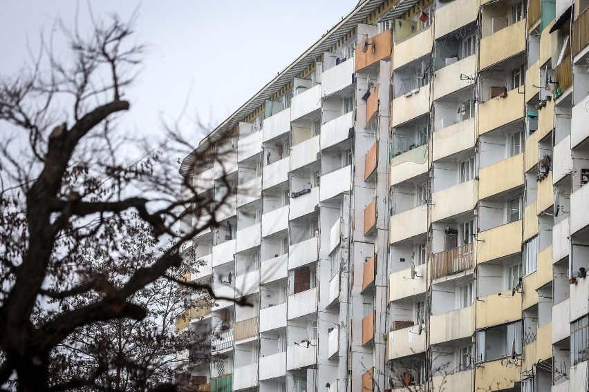 Zeszłoroczne statystyki pokazują, że w niektórych regionach...