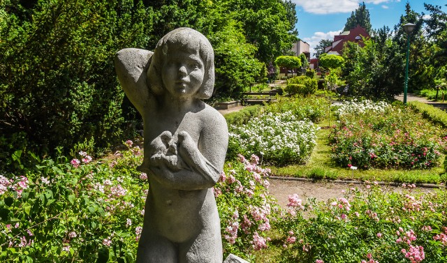 Ogród Botaniczny UKW od 1 czerwca jest otwarty dla spacerowiczów. Uwaga, czynne tylko jedno wejście - od ulicy Powstańców Wielkopolskich, przy wyjeździe z uczelni