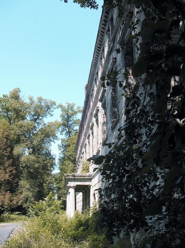 Pałac w Zatoniu z roku na rok widać coraz mniej. Budowlę wchłania park.