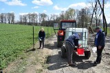 "Zielony Rekord" w powiecie opatowskim. Będą prawdziwe aleje lipowe (ZDJĘCIA)