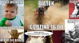 Memy o weekendzie. Zobacz najlepsze memy na początek weekendu i wyczekiwany piątek [śmieszne obrazki, demotywatory] 15.03.2019