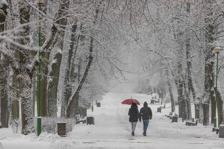 Pogoda długoterminowa. Znaczna zmiana pogody w połowie lutego. Przymrozki i śnieżyce niemal w całej Polsce 1.02.21