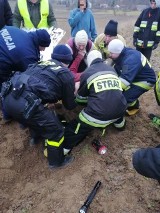 W polach koło Niegosławic policjanci i strażacy odnaleźli wyziębionego seniora. Pomoc przyszła w ostatniej chwili [ZDJĘCIA]