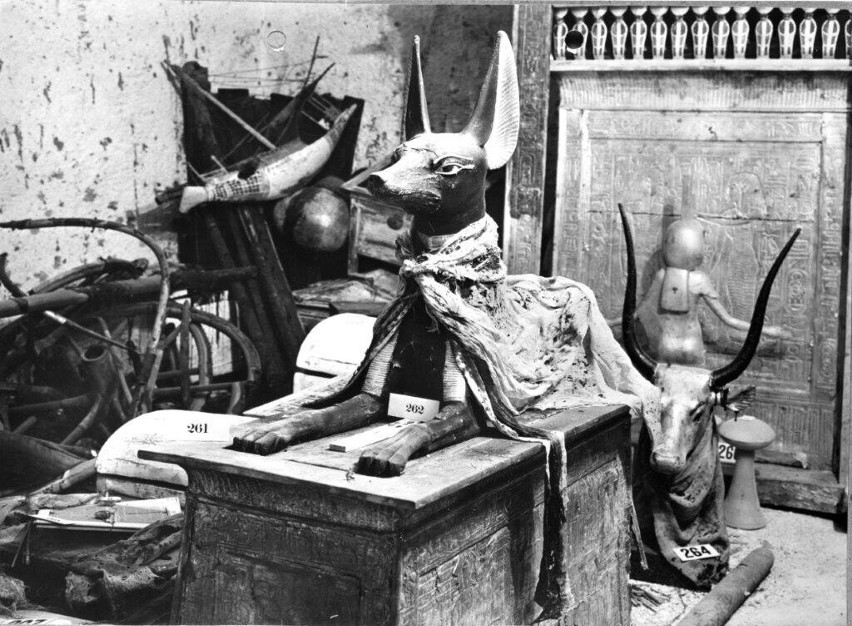 „Tutanchamon: Ostatnia wystawa”. Dokument ukazujący odkrycie komory grobowej legendarnego Tutanchamona na Polsat Viasat History
