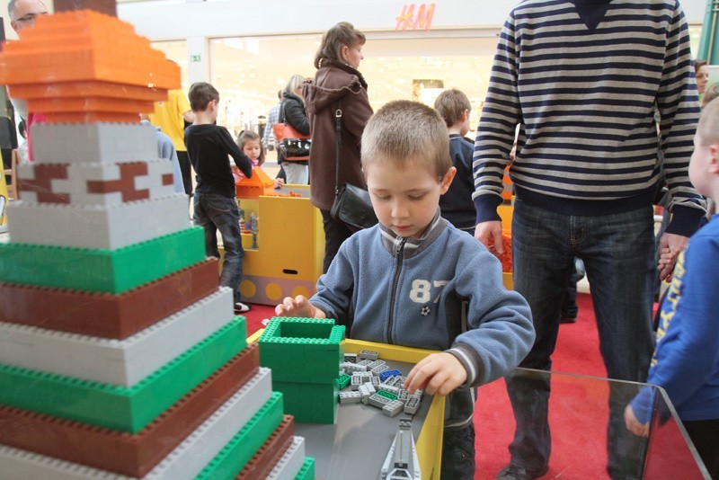 Budowali z ćwierć miliona klocków "Lego" [zdjęcia]