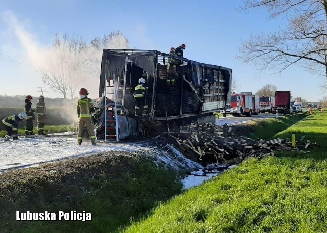 Do tragedii doszło na drodze krajowej nr 31 na odcinku Górzyca - Kostrzyn nad Odrą. Policja otrzymała zgłoszenie w poniedziałek, 26 kwietnia około godz. 7.15. Doszło do zdarzenia drogowego z udziałem czterech pojazdów. Dwa z nich uległy zapaleniu. Kierowca jednego z nich zginął na miejscu. Ze wstępnych ustaleń policji wynika, że do wypadku doszło po tym, gdy na drodze krajowej nr 31 zatrzymał się volkswagen golf. - Za nim zatrzymała się ciężarówka, przewożąca ładunek drewna. Wtedy w tył naczepy ciężarówki z dużą siłą uderzył hyundai (początkowo policja podawała, że był to mercedes - dop. red.), w którego tył uderzyło jeszcze auto dostawcze - relacjonuje podkom. Magdalena Jankowska, oficer prasowy Komendy Powiatowej Policji w Słubicach. Chwilę później wybuchł pożar. Na miejscu zginął kierowca hyundaia. Płomienie objęły mercedesa, naczepę ciężarówki i auto dostawcze.Tragedia na drodzeDo wypadku doszło na drodze krajowej nr 31 w kierunku Słubic. Tragedia wydarzyła się tuż przed Górzycą, jadąc od strony Kostrzyna.  Widok na miejscu zdarzenia jest makabryczny. Hyundai, który wbił się pod naczepę ciężarówki, został doszczętnie zniszczony. Mocno uszkodzone i nadpalone jest też auto dostawcze, które uderzyło w tył koreańskiego auta. Obecnie na miejscu trwa sprzątanie pozostałości towaru z naczepy, leżącego na drodze. Utrudnienia mogą potrwać jeszcze kilka godzin. Po wypadku od naczepy został odpięty ciągnik siodłowy. Odstawiono go dalej, aby nie uległ zapaleniu. GODZINA 16:50 - koniec utrudnień Świadkowie: nie było szans na uratowanie kierowcy mercedesaRozmawialiśmy ze świadkami wypadku. - W momencie, gdy do niego doszło, świeciło bardzo mocne słońce, świeciło prosto w oczy. Wyglądało, jakby ta ciężarówka jechała. Pewnie tak samo wydawało się kierowcy osobowego samochodu- mówi nam jeden ze świadków. - Hyundai błyskawicznie stanął w ogniu. - Nie było szans na uratowanie kierowcy. Temperatura była tak wysoka, że nie dało się nawet podejść w pobliże auta - dodają świadkowie.Śmiertelne wypadki w Lubuskiem- Od początku roku w naszym wojewódzkie doszło do 128 wypadków, w których życie straciło 19 osób, a 133 zostały ranne. Jest to o 30 wypadków, 6 ofiar śmiertelnych i 50 osób rannych mniej niż w analogicznym okresie roku poprzedniego - mówi młodszy aspirant Mateusz Sławek z zespołu prasowego Komendy Wojewódzkiej Policji w Gorzowie Wlkp. Byłeś świadkiem wypadku, pożaru lub innego zdarzenia? Stoisz w korku lub masz informację o innych utrudnieniach na drodze? Poinformuj nas o tym! Wyślij nam zdjęcia lub nagranie z miejsca zdarzenia. Możesz to zrobić przez stronę "Gazety Lubuskiej" na Facebooku  lub mailem na adres glonline@gazetalubuska.pl 