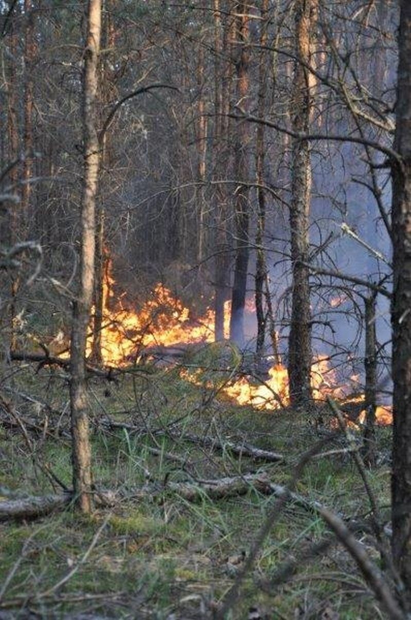 Pożar gmina Kadzidło
