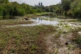 Ocieplenie klimatu jest dobre i pozwoli oszczędzić? Tak wynika z lekcji publikowanych na zlecenie Ministerstwa Edukacji Narodowej