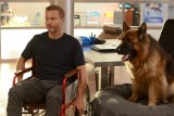 "Komisarz Alex" odcinek 8. sezon 10. Górski trafi na wózek inwalidzki! To koniec jego kariery? [ZDJĘCIA]