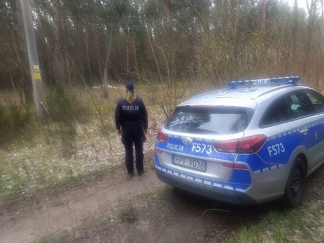 Niewybuch znaleziony został w lesie w Wojsławicach w gminie Zduńska Wola