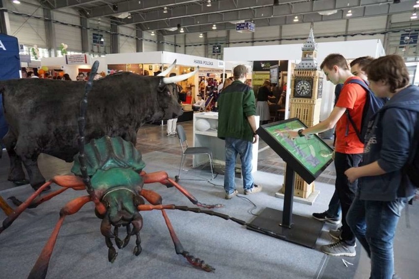 Targi Edukacyjne 2017 Poznań