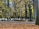 Jak szybko znaleźć grób bliskich osób na Cmentarzu Centralnym w Szczecinie? Pomoże w tym wirtualna wyszukiwarka grobów 
