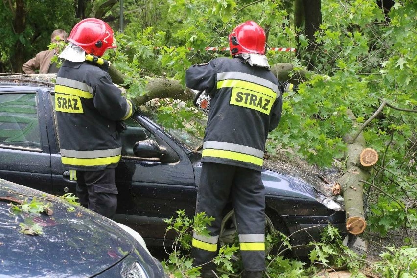 Wrocław: Drzewo runęło na ulicę. Zniszczyło samochody