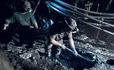 Australijczycy szukają węgla w powiatach włodawskim i chełmskim