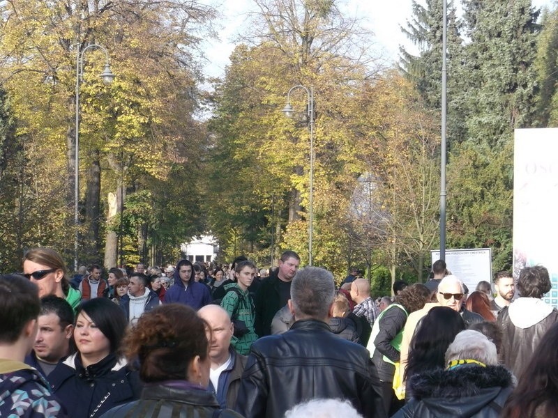 Wrocław: Tłoczno na cmentarzu Osobowickim, ale wiele osób wybrało dojazd komunikacją (ZDJĘCIA)